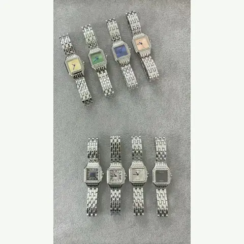 LS-0002 Ladies Steel Watch