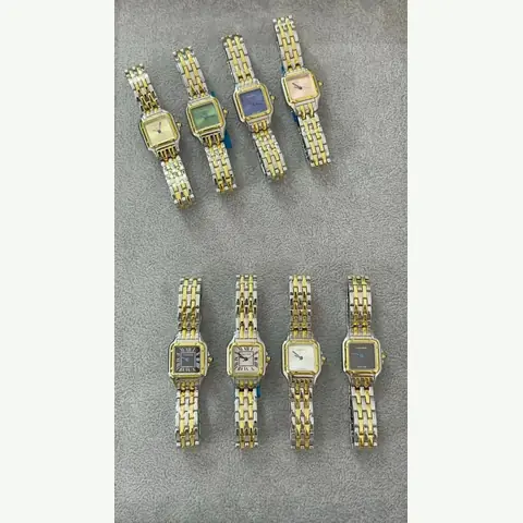 LS-0004 Ladies Steel Watch
