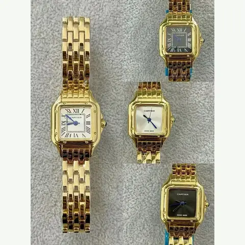 LS-0009 Ladies Steel Watch