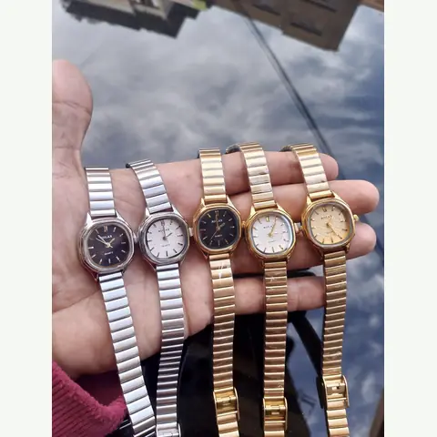 LS-0013 Ladies Steel Watch