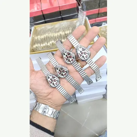 LS-0123 Ladies Steel Watch