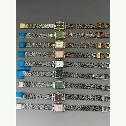 LS-0248 Ladies Steel Watch