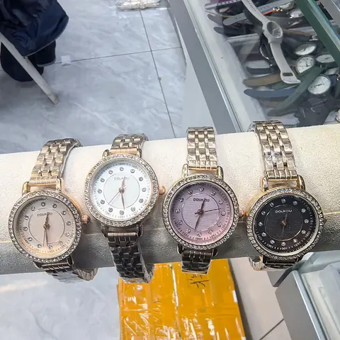 LS-0301 Ladies Steel Watch